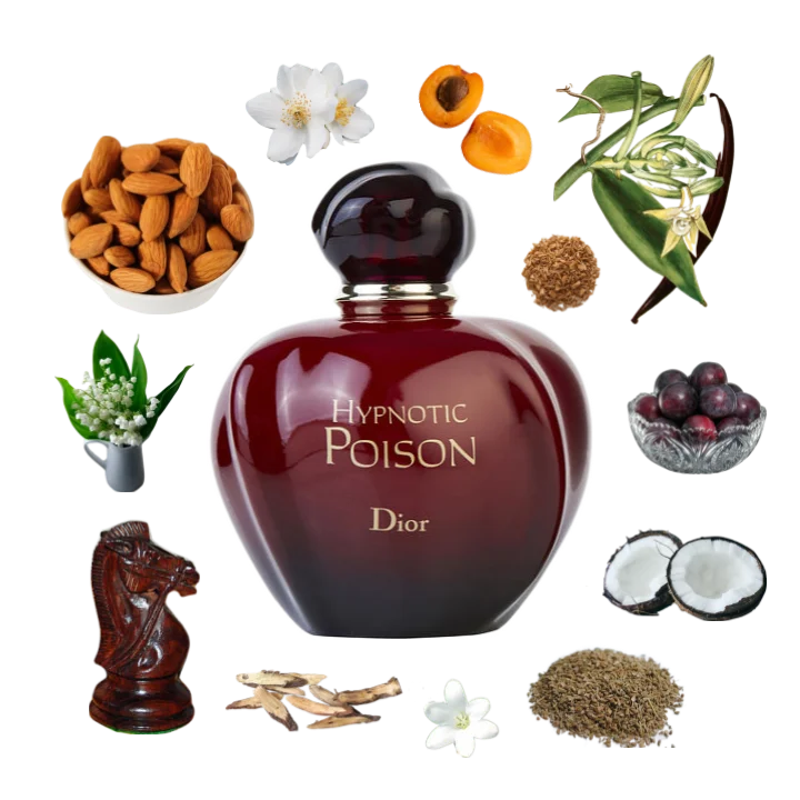 Hypnotic Poison Eau de Parfum 100ml/3.4oz