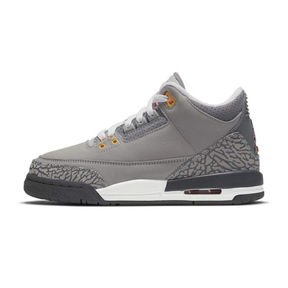 Air Jordan 3 'Cool Grey'