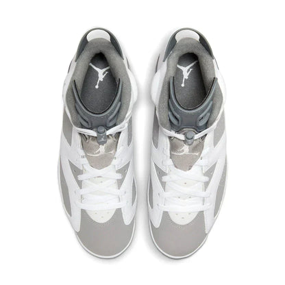 Air Jordan 6 'Cool Grey'